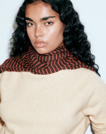 Mango Sweater Seeds