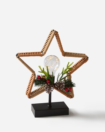 Star Wicker Bulb with Floirstry Light