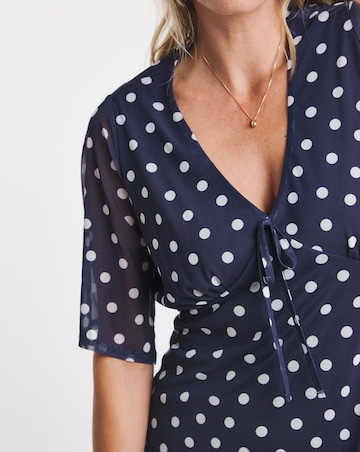 Navy Spot Mesh Midi Dress