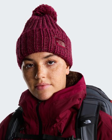 The North Face Cozy Chunky Cabin Beanie