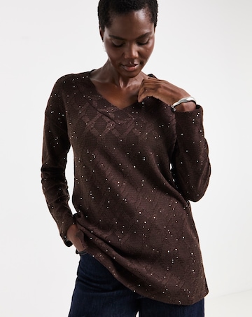 Chocolate Glitter Textured Long Sleeve V-Neck Top