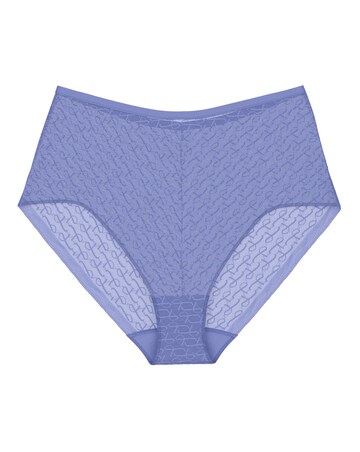 Triumph Signature Sheer Maxi Briefs