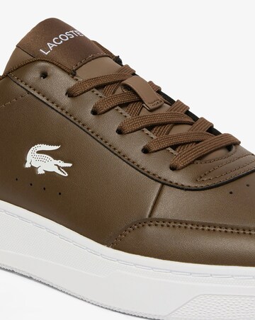 Lacoste Court Pro Trainers - Brown