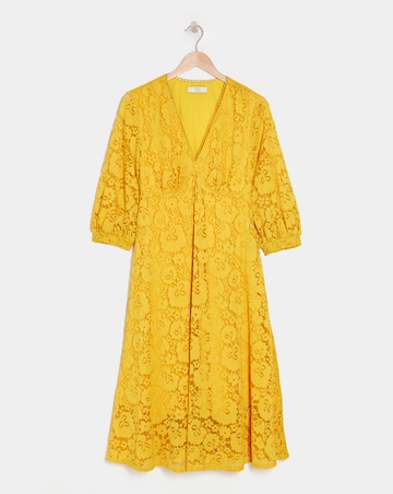 Joanna Hope Stretch Lace Dress