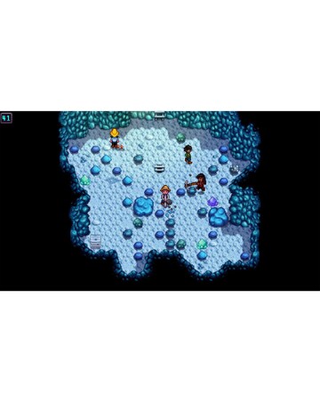 Stardew Valley (Nintendo Switch 2)