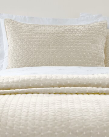 Bianca Attica Velvet Pillowsham Pair