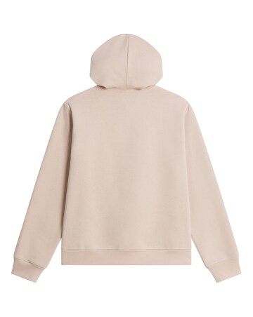 The North Face Essential Drew Peak Regular Hoodie