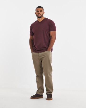 5 Pack Pure Cotton V Neck T-Shirts