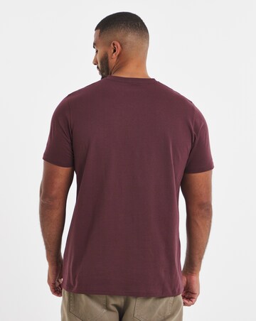 5 Pack Pure Cotton V Neck T-Shirts