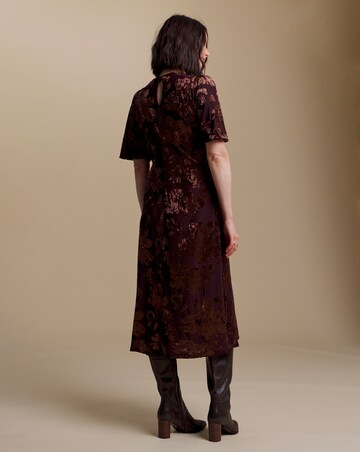 Julipa Velour Burn Out Midi Dress