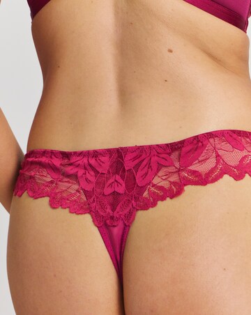 Pretty Serets Leaf Lace Midi Thong Berry
