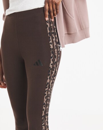 adidas 3 Stripe Legging