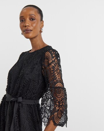 Joanna Hope Structured Lace Dress