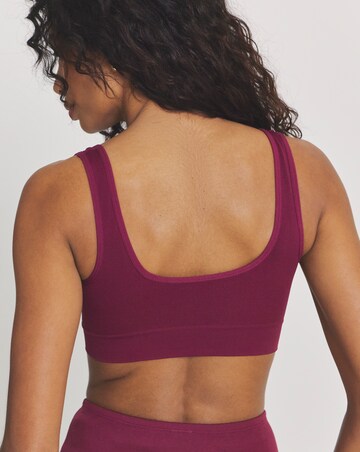 Pretty Secrets (3 Pack) Comfort Tops (Fits A-D) Choc Multi