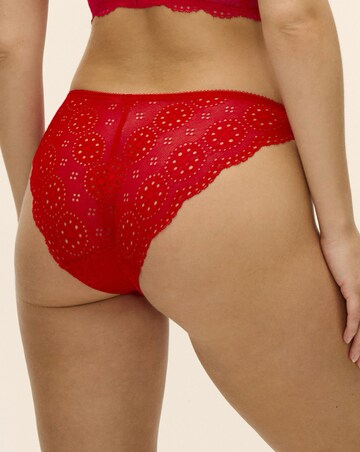Freya Posie Midi Brief