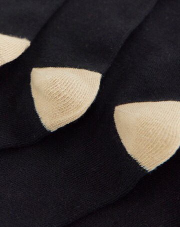 Pretty Secrets (5 Pair Pack) Embroidered Ankle Socks