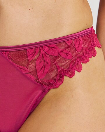 Pretty Serets Leaf Lace Midi Thong Berry