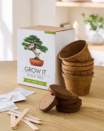 Bonsai Tree Grow It