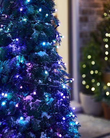 400 Multi Coloured Crystal Lights