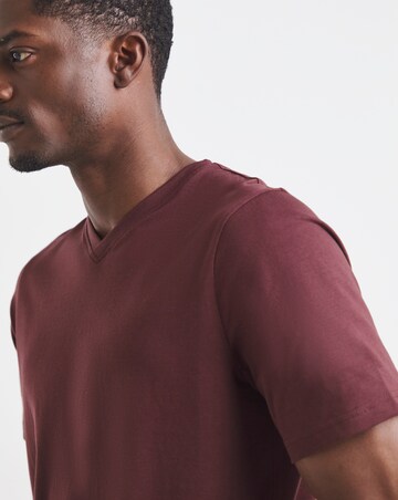 Pure Cotton V Neck T-Shirt Long