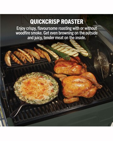 Ninja FlexFlame Outdoor Cooking System PG301UK Green