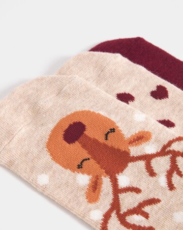 Pretty Secrets (3 Pair Pack) Reindeer Novelty Christmas Socks