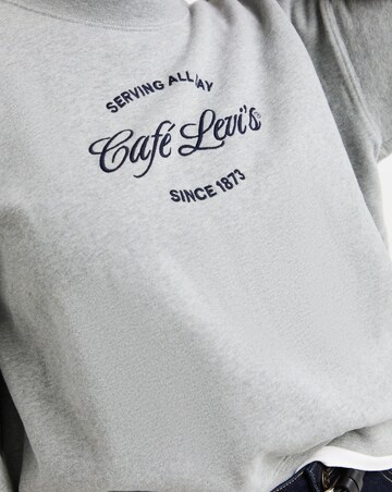Levi's Graphic Vintage Boxy Crew Sweatshirt