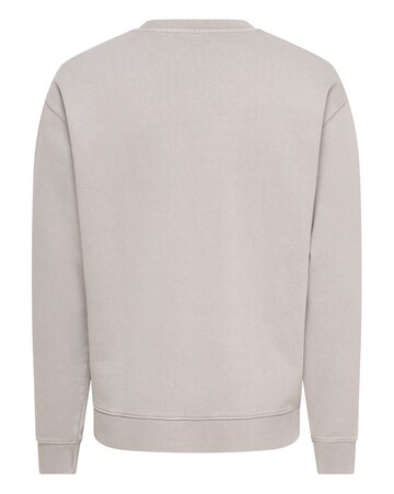 Only & Sons Creative College Relaxed Washed Crew Sweat - Light Grey