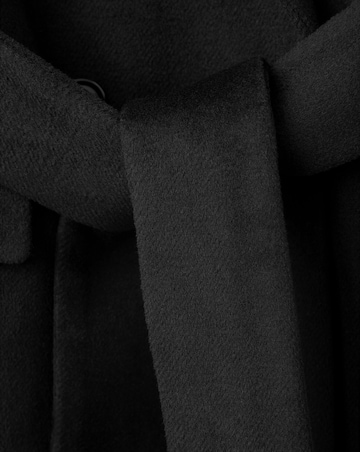 Mango Coat Eye