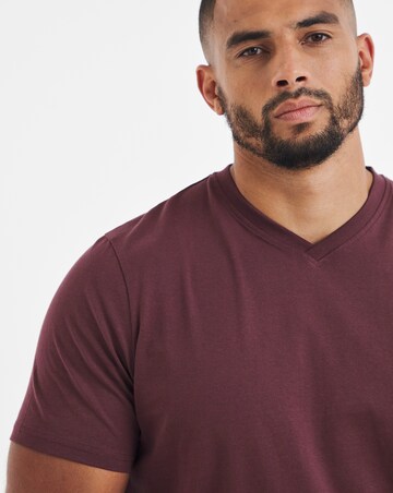 5 Pack Pure Cotton V Neck T-Shirts