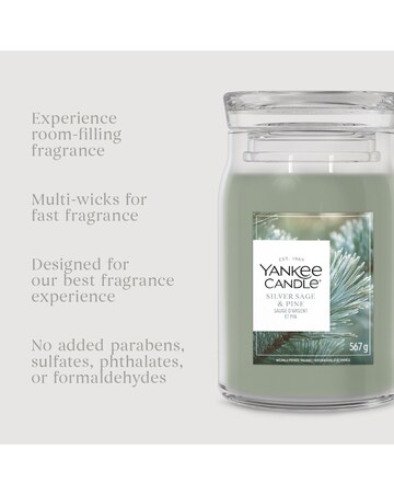 Yankee Candle Signature Large Silver Sage Pine