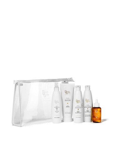 Argan Oil 5-Piece Moisture Hair Repair Sulfate Free Gift Set With Bag 250ml