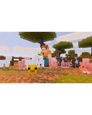 Minecraft (Nintendo Switch 2)