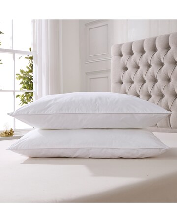 Downland Touch of Silk Pillow Pair