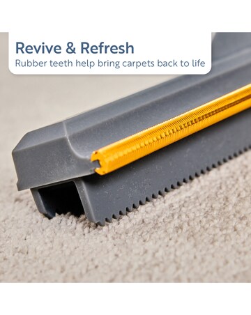 Minky Carpet Reviver