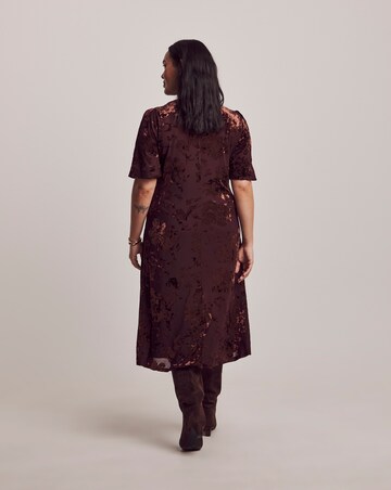Julipa Petite Velour Burn Out Midi Dress