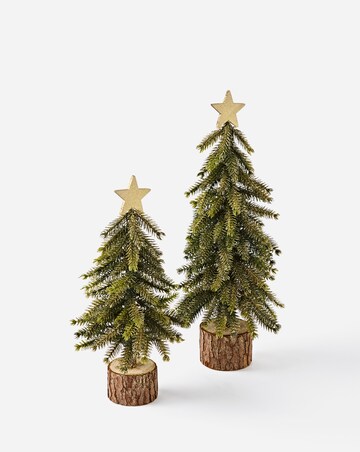 Gisela Graham Set of 2 Bristle Trees with Star Topper - 39cm and 30cm