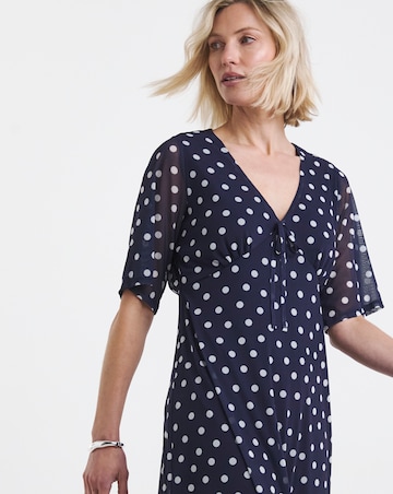 Spot Print Mesh Midi Dress
