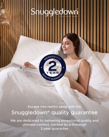 Snuggledown Hotel Side Sleeper Anti Allergy Pillow 2 Pack