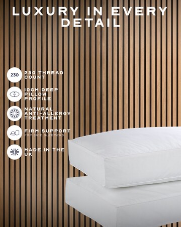 Snuggledown Hotel Side Sleeper Anti Allergy Pillow 2 Pack