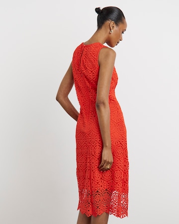 Joanna Hope Crochet Dress
