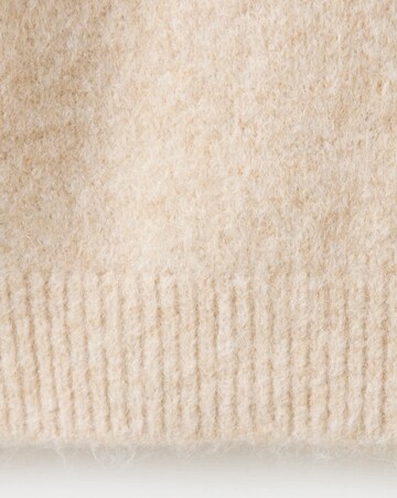 Mango Sweater Seeds