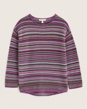 Seasalt Cornwall Fruity Jumper