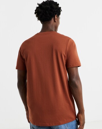 Pure Cotton Crew Neck T-Shirt Long