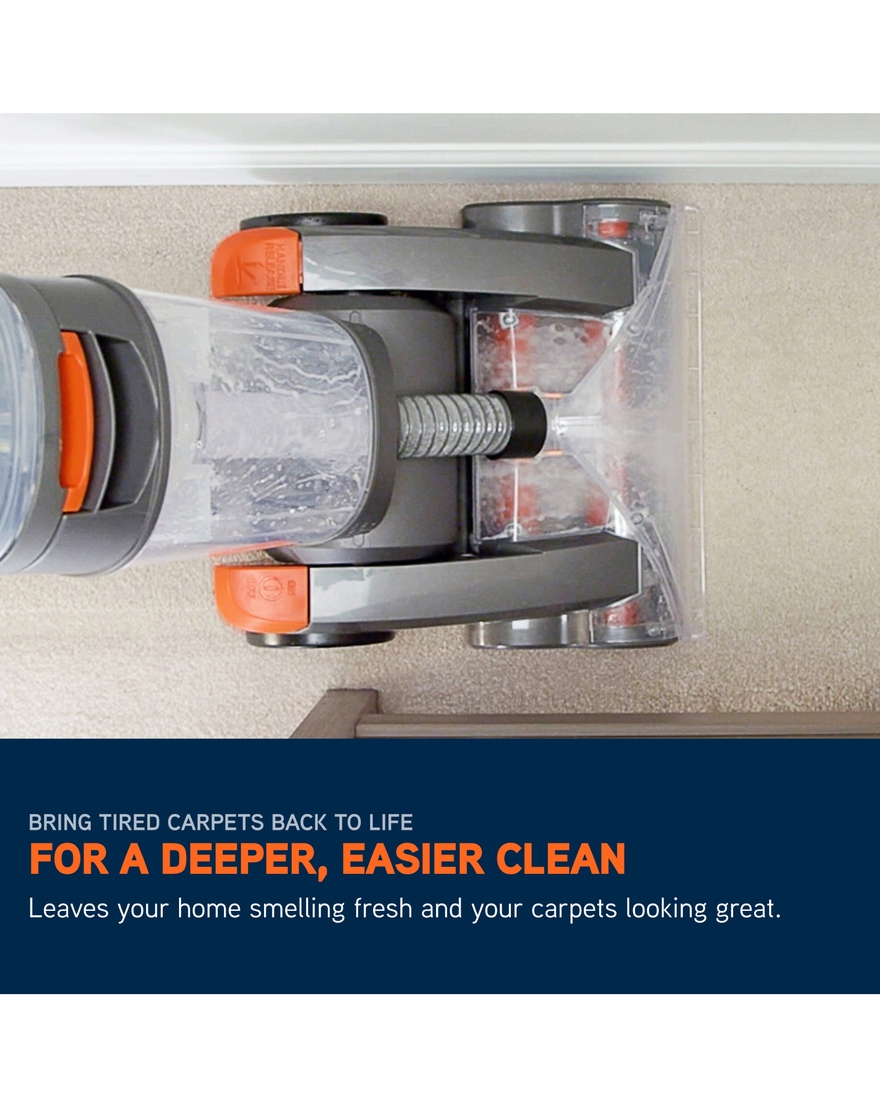 Vax Dual Power Carpet Washer | Ambrose Wilson