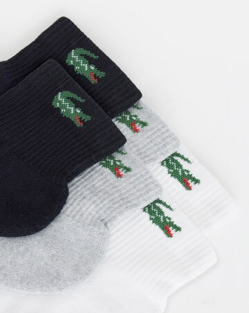 Lacoste 3 Pack Ankle Sport Socks - Multi