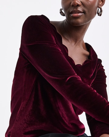 Berry Long Sleeve Scallop V Neck Velvet Top