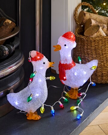 Duck Pair Lights