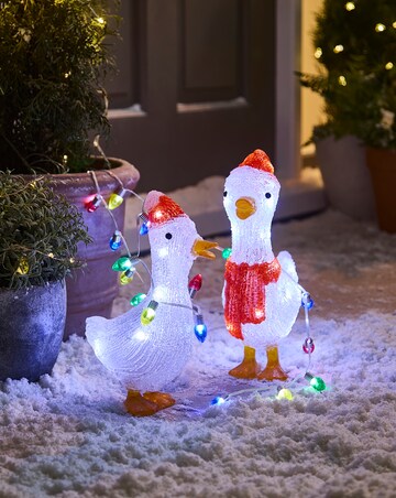 Duck Pair Lights