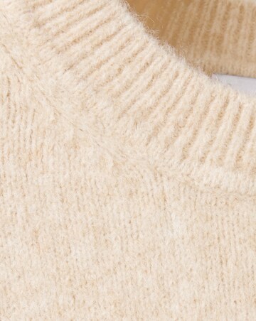 Mango Sweater Seeds